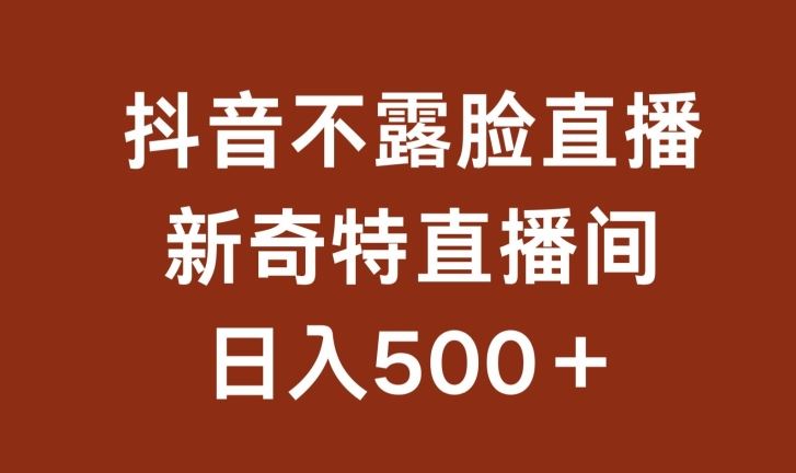 不露脸挂机直播，新奇特直播间，日入500+【揭秘】-玩备项目资源网