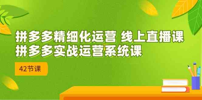 拼多多精细化运营 线上直播课：拼多多实战运营系统课（更新47节）-玩备项目资源网