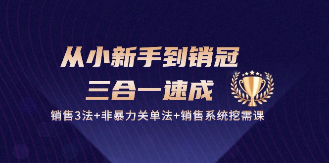 从小新手到销冠三合一速成：销售3法+非暴力关单法+销售系统挖需课 (27节)-玩备项目资源网