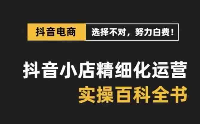 抖音小店精细化运营百科全书，保姆级运营实战讲解（更新）-玩备项目资源网