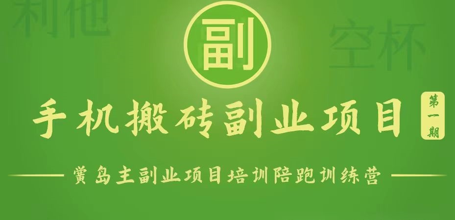 手机搬砖小副业项目训练营1.0，能用手机做的简单小副业-玩备项目资源网