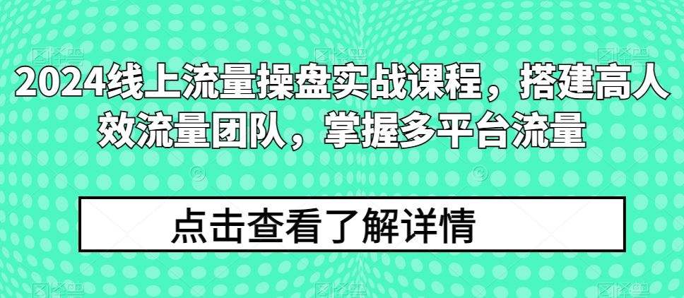 2024线上流量操盘实战课程，搭建高人效流量团队，掌握多平台流量-玩备项目资源网