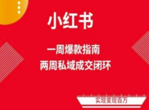 爆款小红书免费流量体系课程(两周变现)，小红书电商教程-玩备项目资源网