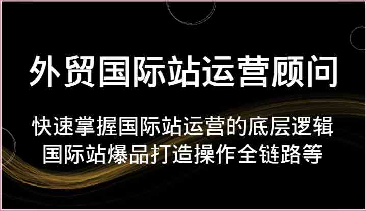 外贸国际站运营顾问-快速掌握国际站运营的底层逻辑，国际站爆品打造操作全链路等-玩备项目资源网