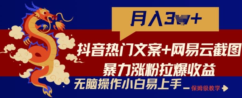 抖音热门文案+网易云截图暴力涨粉拉爆收益玩法，小白无脑操作，简单易上手【揭秘】-玩备项目资源网