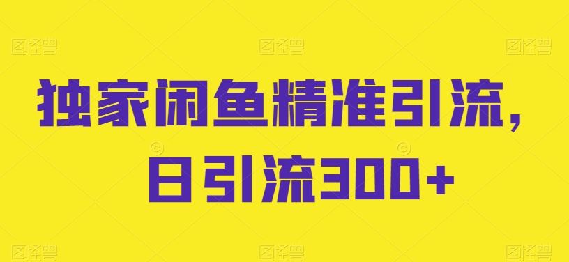 独家闲鱼精准引流，日引流300+【揭秘】-玩备项目资源网