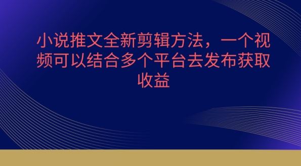 小说推文全新剪辑方法，一个视频可以结合多个平台去发布获取【揭秘】-玩备项目资源网