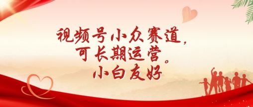 视频号小众赛道，可长期运营，小白友好【揭秘】-玩备项目资源网