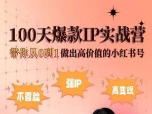 小红书100天爆款IP实战营，带你从0到1做出高价值的小红书号-玩备项目资源网