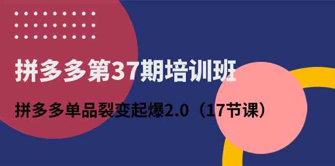 拼多多第37期培训班：拼多多单品裂变起爆2.0（17节课）-玩备项目资源网