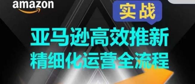 亚马逊高效推新精细化运营全流程，全方位、快速拉升产品排名和销量!-玩备项目资源网