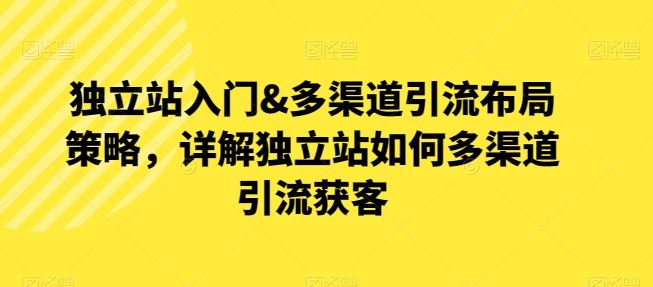 独立站入门&多渠道引流布局策略，详解独立站如何多渠道引流获客-玩备项目资源网