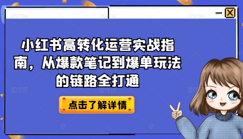 小红书高转化运营实战指南，从爆款笔记到爆单玩法的链路全打通-玩备项目资源网