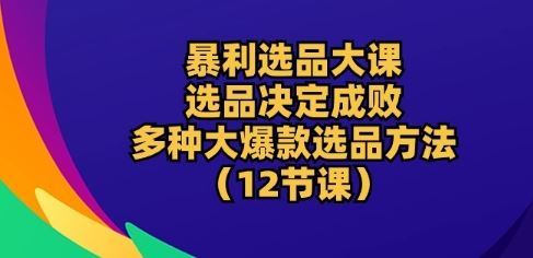 暴利选品大课：选品决定成败，教你多种大爆款选品方法(12节课)-玩备项目资源网