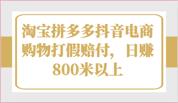 淘宝拼多多抖音电商购物打假赔付，日赚800米以上-玩备项目资源网
