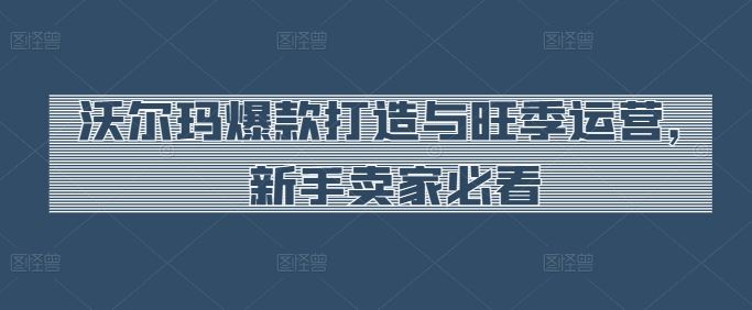 沃尔玛爆款打造与旺季运营，新手卖家必看-玩备项目资源网