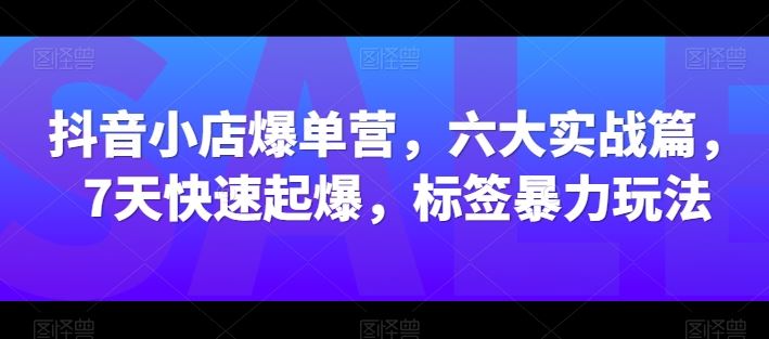 抖音小店爆单营，六大实战篇，7天快速起爆，标签暴力玩法-玩备项目资源网