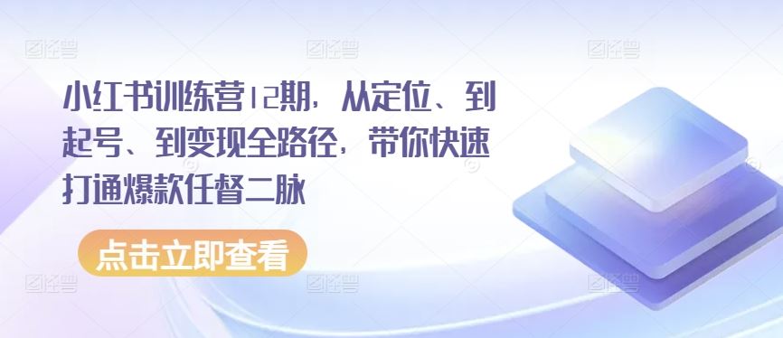 小红书训练营12期，从定位、到起号、到变现全路径，带你快速打通爆款任督二脉-玩备项目资源网