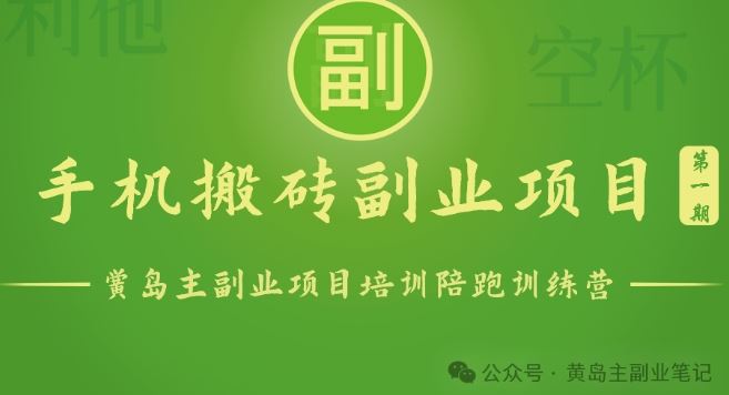 手机搬砖小副业项目训练营1.0，实测1小时收益50+，一部手机轻松日入100+-玩备项目资源网