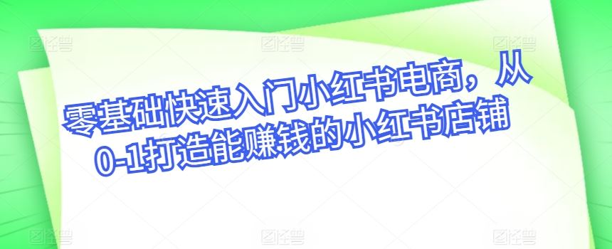 零基础快速入门小红书电商，从0-1打造能赚钱的小红书店铺-玩备项目资源网