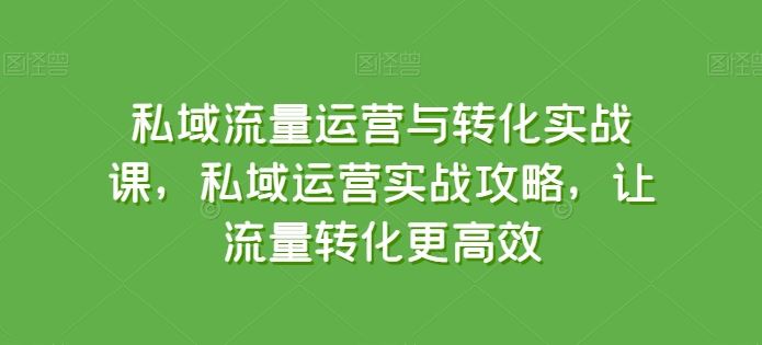 私域流量运营与转化实战课，私域运营实战攻略，让流量转化更高效-玩备项目资源网