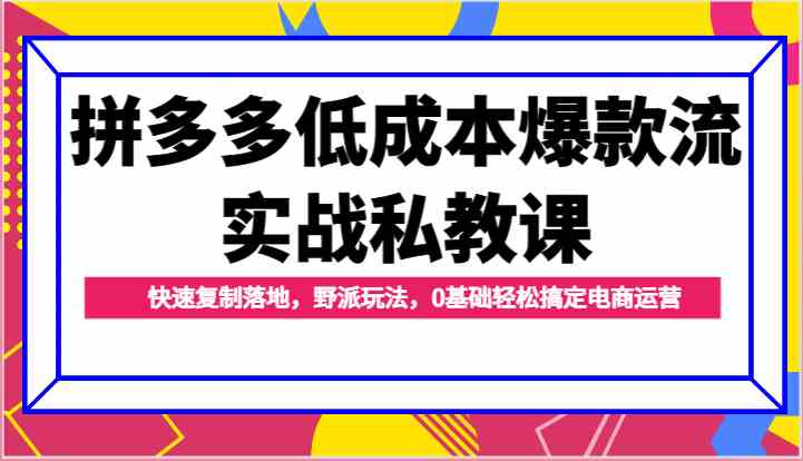 拼多多低成本爆款流实战私教课，快速复制落地，野派玩法，0基础轻松搞定电商运营-玩备项目资源网