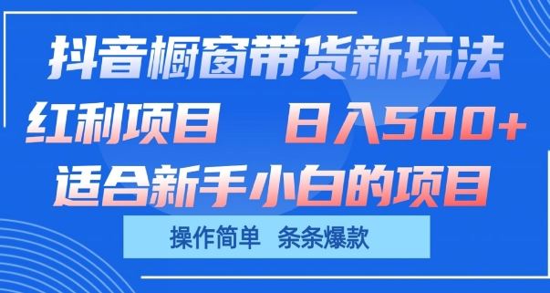 抖音橱窗带货新玩法，单日收益几张，操作简单，条条爆款【揭秘】-玩备项目资源网