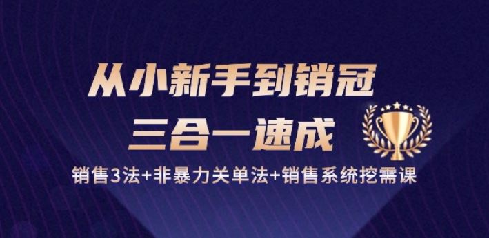从小新手到销冠 三合一速成：销售3法+非暴力关单法+销售系统挖需课 (27节)-玩备项目资源网