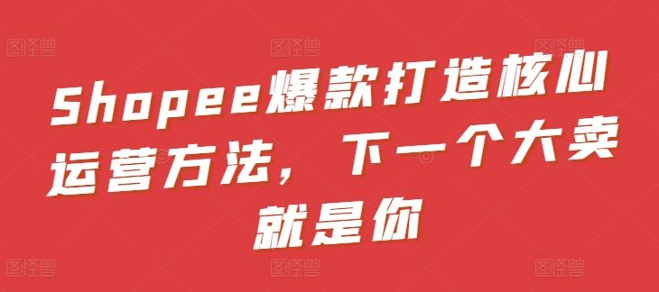 Shopee爆款打造核心运营方法，下一个大卖就是你-玩备项目资源网