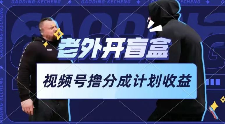 老外开盲盒视频，撸视频号分成计划收益，每天只需一小时，新手小白轻松上手【揭秘】-玩备项目资源网
