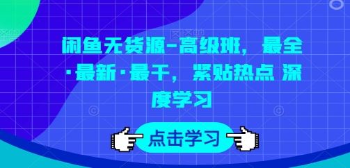 闲鱼无货源-高级班，最全·最新·最干，紧贴热点 深度学习-玩备项目资源网