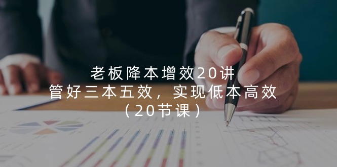 老板降本增效20讲，管好三本五效，实现低本高效（20节课）-玩备项目资源网