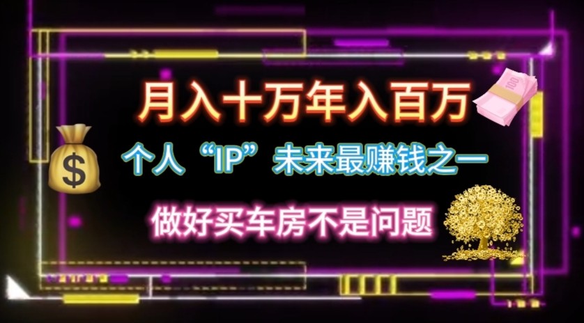 个人“ip”月入10w，年入100w-玩备项目资源网
