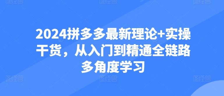 2024拼多多最新理论+实操干货，从入门到精通全链路多角度学习-玩备项目资源网