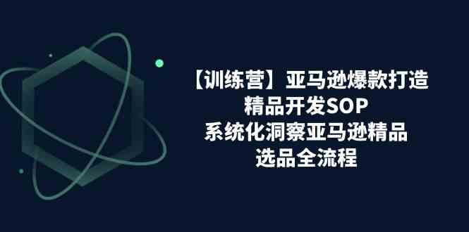 亚马逊爆款打造之精品开发SOP【训练营】，系统化洞察亚马逊精品选品全流程-玩备项目资源网