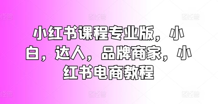 小红书课程专业版，小白，达人，品牌商家，小红书电商教程-玩备项目资源网