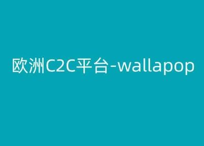 欧洲C2C平台-wallapop-kim跨境电商教程-玩备项目资源网