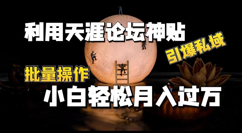 利用天涯论坛神贴，引爆私域，批量操作，小白轻松月入过w【揭秘】-玩备项目资源网