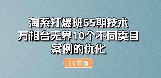 淘系打爆班55期技术：万相台无界10个不同类目案例的优化(10节)-玩备项目资源网