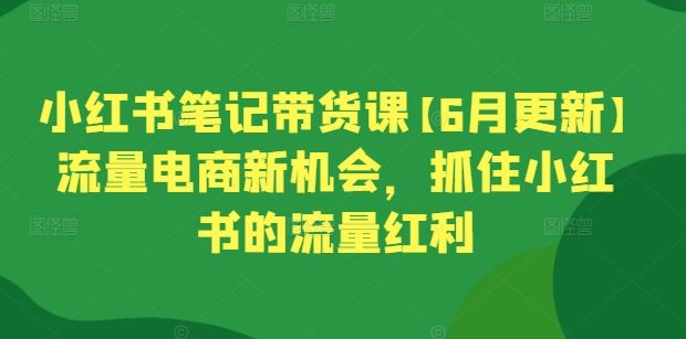 小红书笔记带货课【6月更新】流量电商新机会，抓住小红书的流量红利-玩备项目资源网