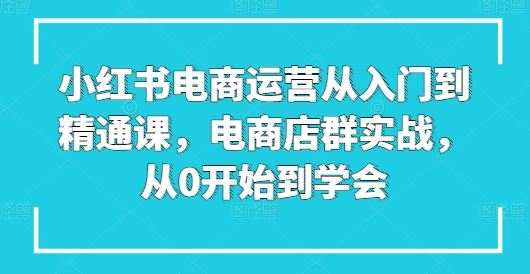 小红书电商运营从入门到精通课，电商店群实战，从0开始到学会-玩备项目资源网