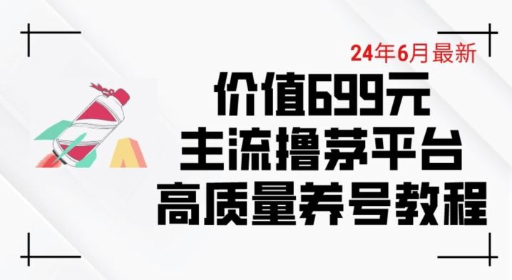 6月最新价值699的主流撸茅台平台精品养号下车攻略【揭秘】-玩备项目资源网