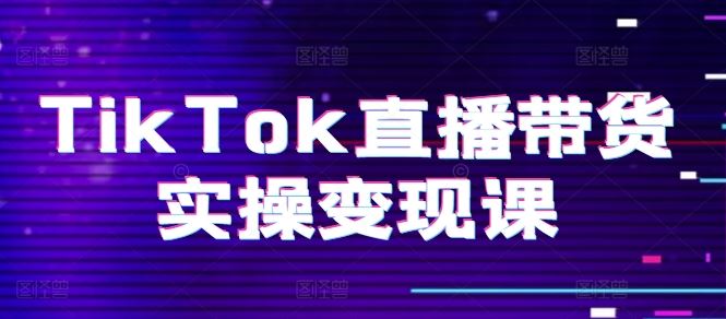 TikTok直播带货实操变现课：系统起号、科学复盘、变现链路、直播配置、小店操作流程、团队搭建等。-玩备项目资源网