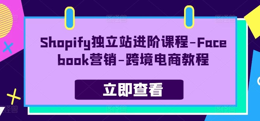 Shopify独立站进阶课程-Facebook营销-跨境电商教程-玩备项目资源网