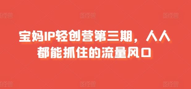 宝妈IP轻创营第三期，人人都能抓住的流量风口-玩备项目资源网