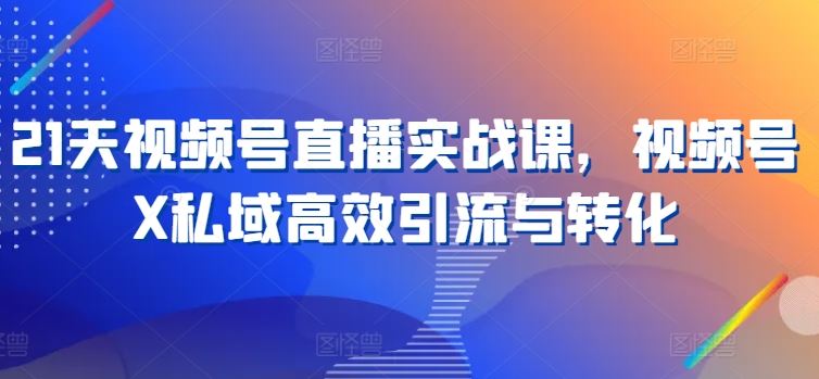 21天视频号直播实战课，视频号X私域高效引流与转化-玩备项目资源网