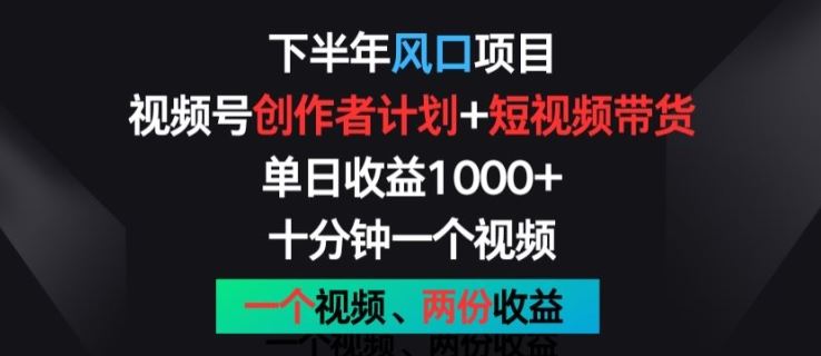 下半年风口项目，视频号创作者计划+视频带货，一个视频两份收益，十分钟一个视频【揭秘】-玩备项目资源网