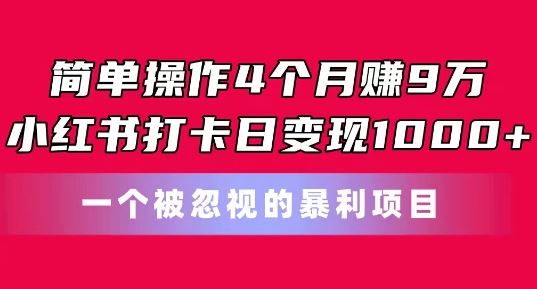 简单操作4个月赚9w，小红书打卡日变现1k，一个被忽视的暴力项目【揭秘】-玩备项目资源网