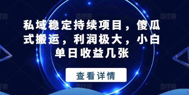 私域稳定持续项目，傻瓜式搬运，利润极大，小白单日收益几张【揭秘】-玩备项目资源网