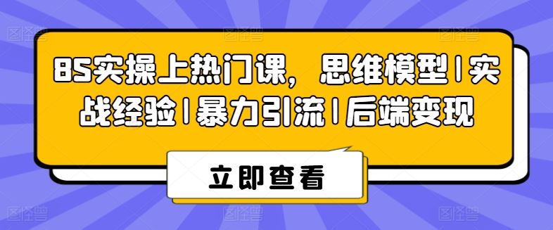 8S实操上热门课，思维模型|实战经验|暴力引流|后端变现-玩备项目资源网